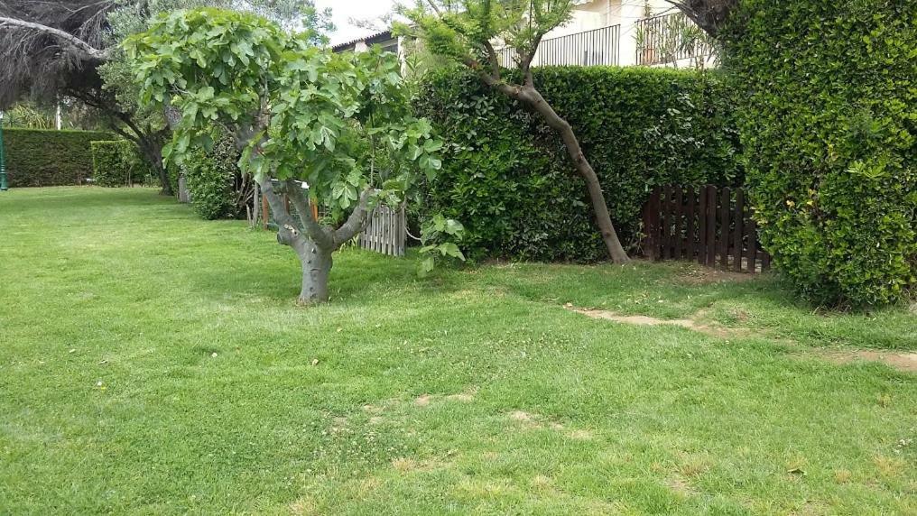 7 Maison Des Sables Grimaud Eksteriør billede